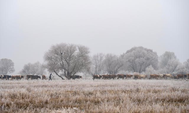 Farmers' Almanac Winter 2023: What to Expect This Year